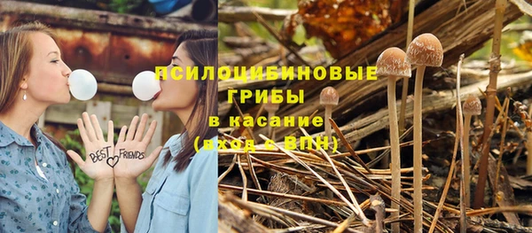 амфетамин Грязовец